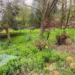 Red Squirrel Haven Hawes