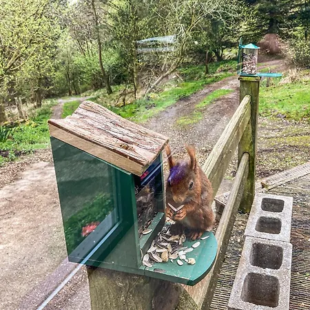 Holiday home Red Squirrel Haven
