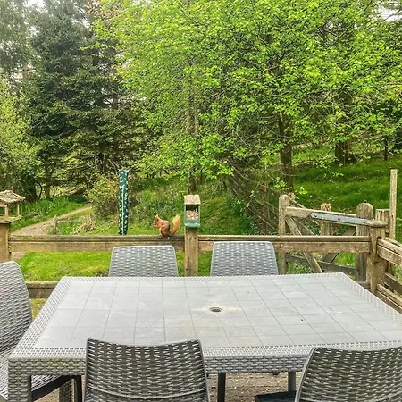 Tatil Evi Red Squirrel Haven