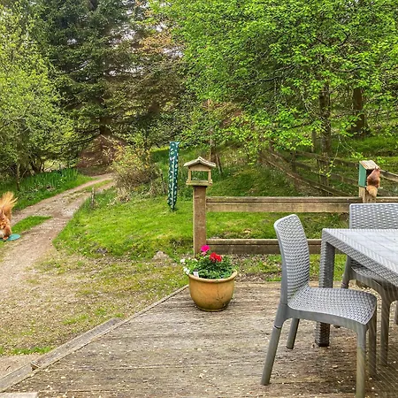 Red Squirrel Haven * Hawes